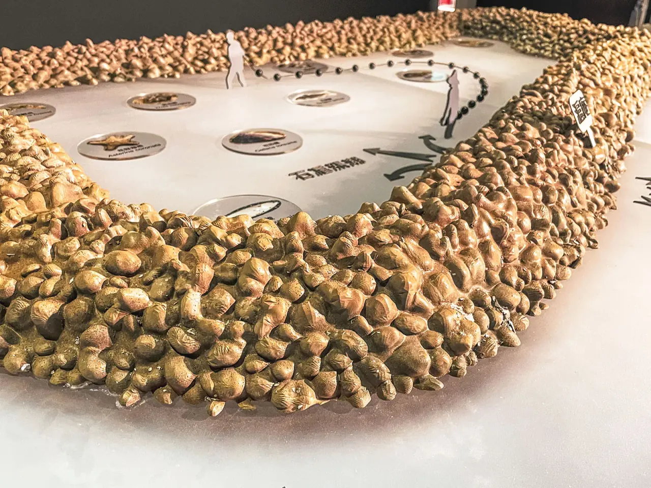 Environmental Conservation Organization | Xinwu Stone Fish Weir Model — project photograph 10