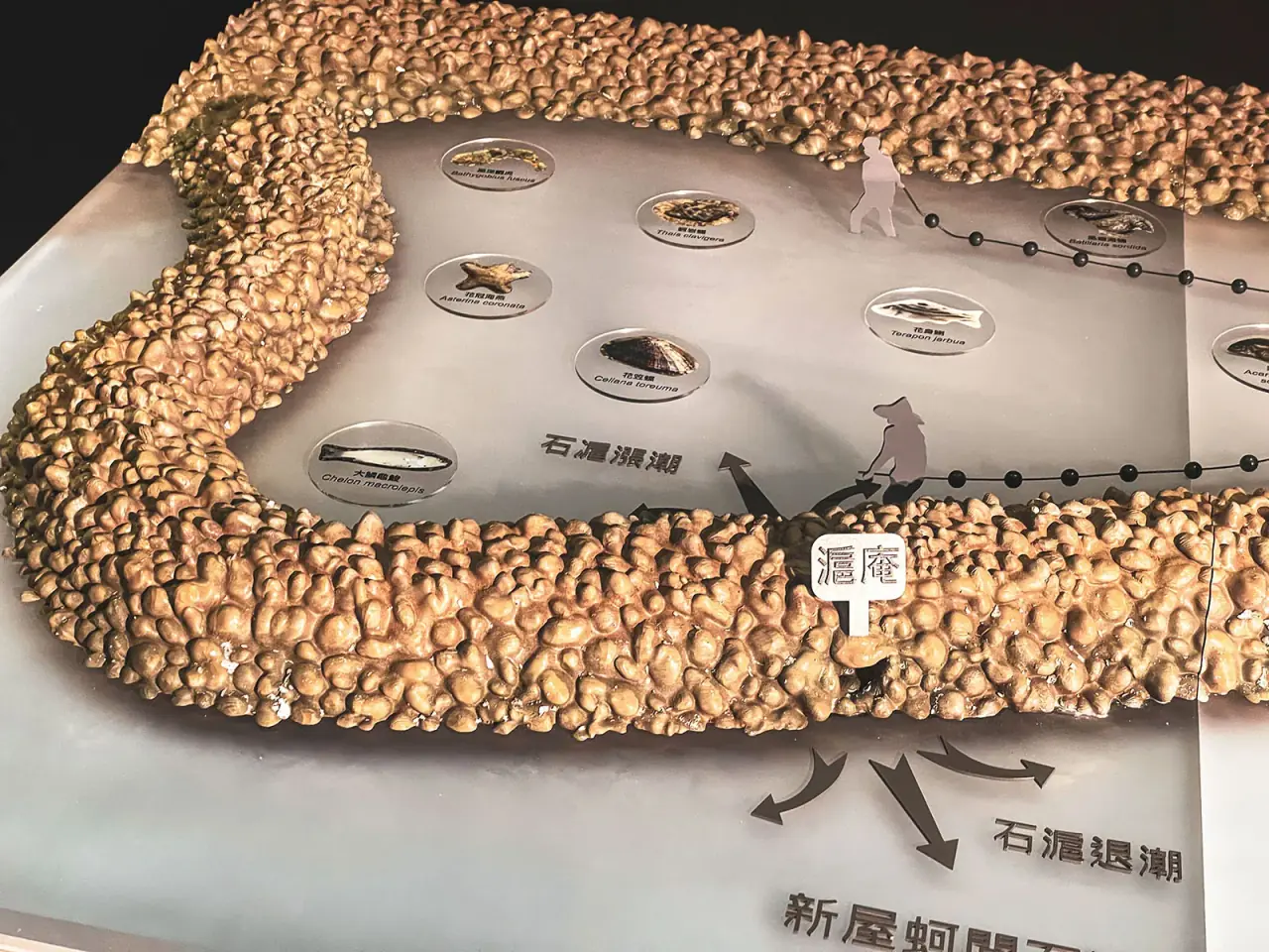 Environmental Conservation Organization | Xinwu Stone Fish Weir Model — project photograph 5