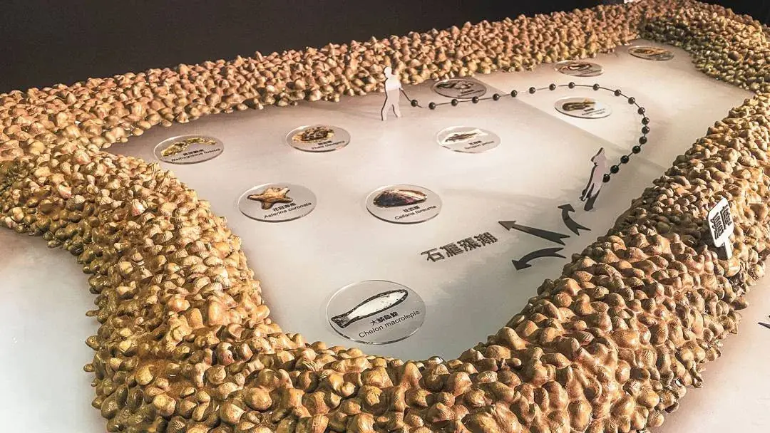 Environmental Conservation Organization | Xinwu Stone Fish Weir Model