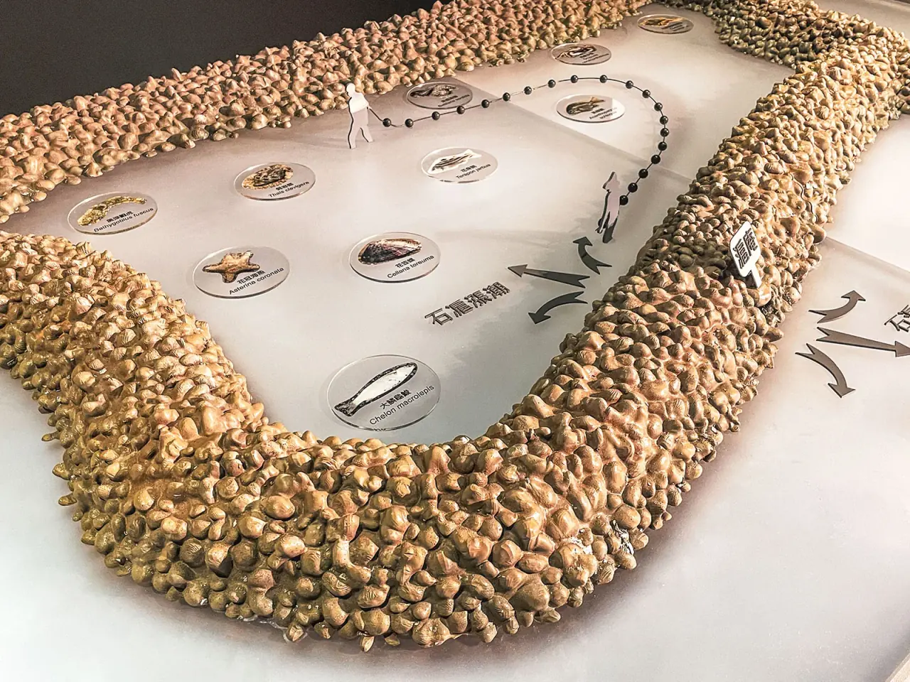 Environmental Conservation Organization | Xinwu Stone Fish Weir Model — project photograph 9