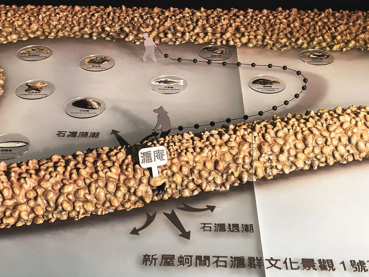 Environmental Conservation Organization | Xinwu Stone Fish Weir Model — project photograph 7