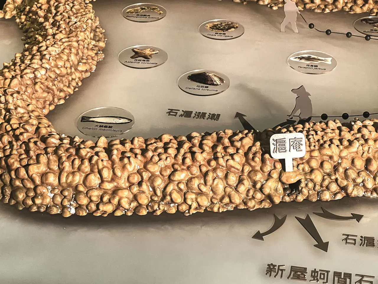 Environmental Conservation Organization | Xinwu Stone Fish Weir Model — project photograph 3