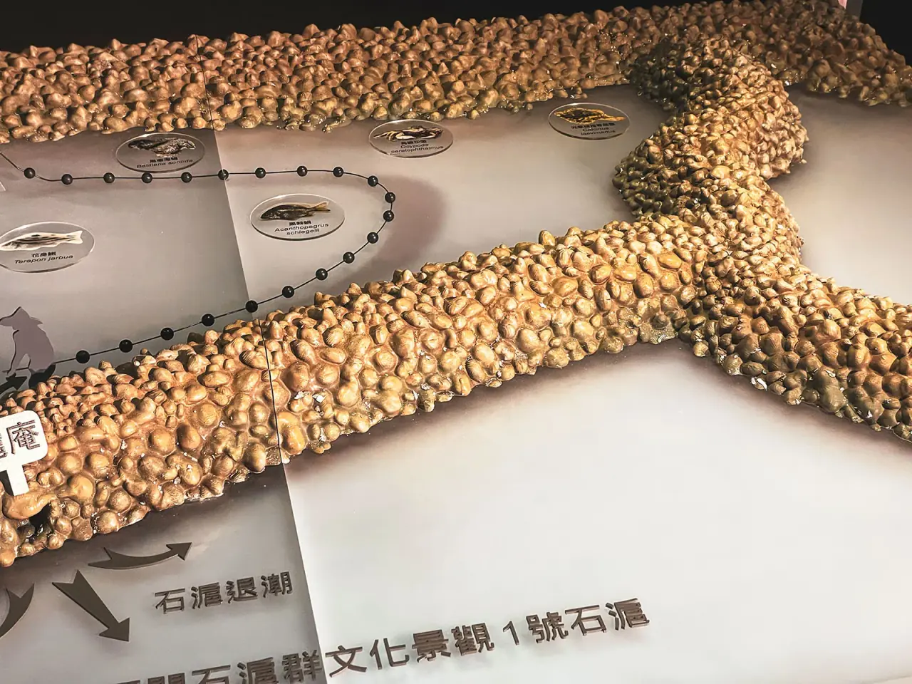 Environmental Conservation Organization | Xinwu Stone Fish Weir Model — project photograph 6