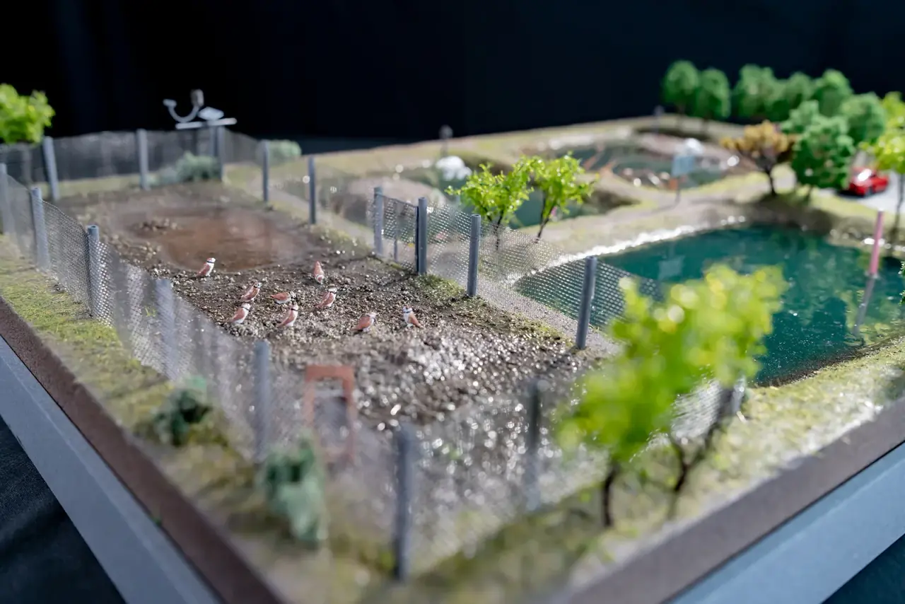 Ørsted | Little Tern Restoration Site at the Zhuoshui Estuary — project photograph 9