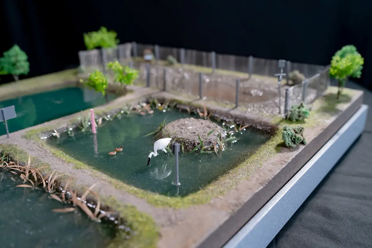 Ørsted | Little Tern Restoration Site at the Zhuoshui Estuary — project photograph 10