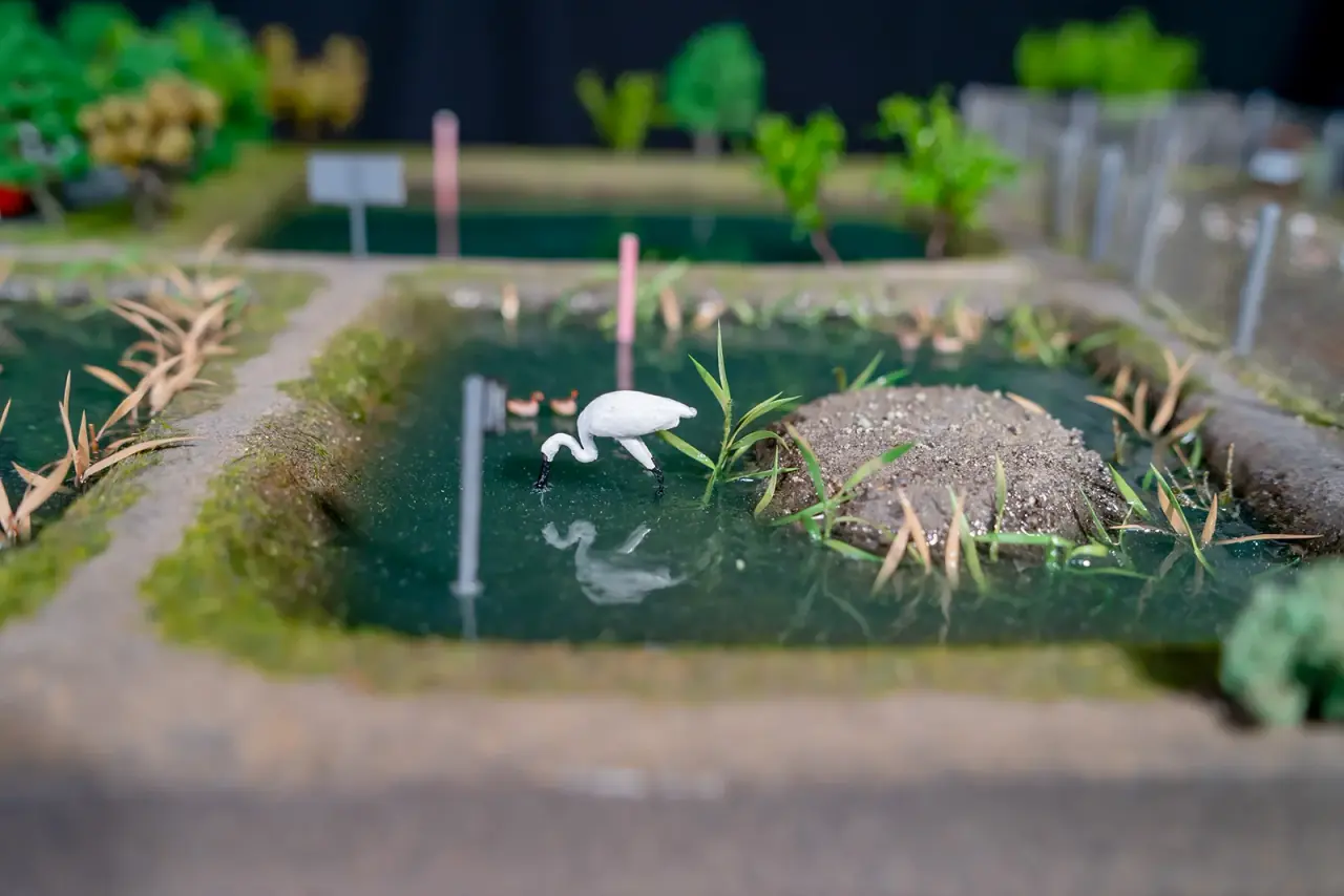 Ørsted | Little Tern Restoration Site at the Zhuoshui Estuary — project photograph 1